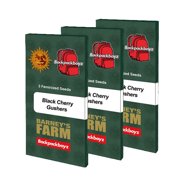 Barneys Farm Seeds x Backpack Boyz - Black Cherry Gushers  The JuicyJoint