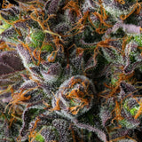 Compound Genetics - Strawberry Skrilla