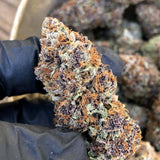 Humboldt Seeds - Forbidden Fruit Fast