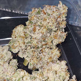 Karma Genetics - Pink Pie