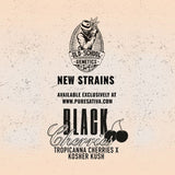 Old School Genetics - Black Cherries