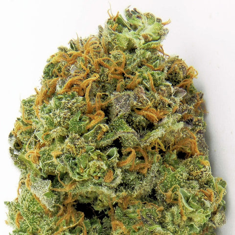 Heavyweight Seeds - Lemon Cake - The JuicyJoint