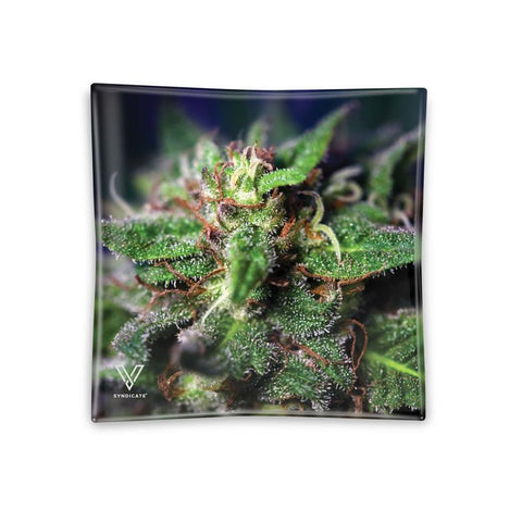V Syndicate - Blue Dream - Glass Ashtray