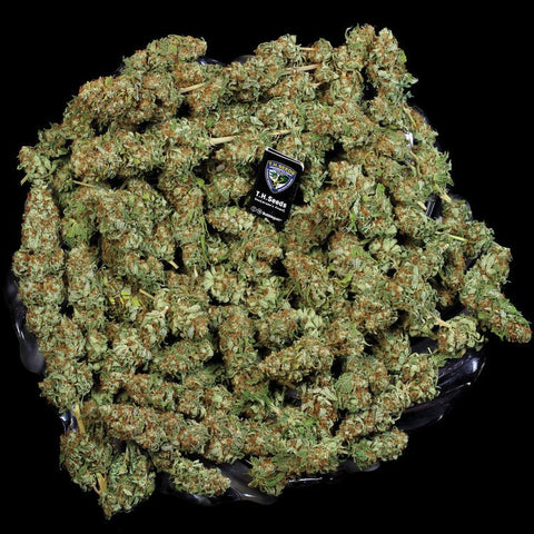 T.H. Seeds - Original Bubblegum