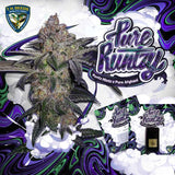 T.H. Seeds - Pure Runtzy