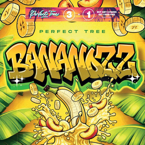 Perfect Tree - Bananozz 3pk + 1 FREE