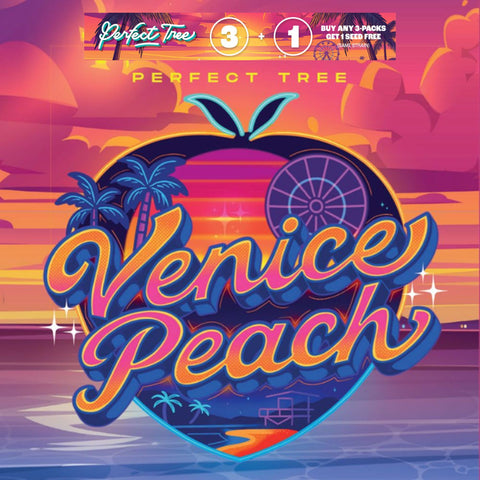 Perfect Tree - Venice Peach - 3pk + 1 FREE