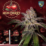 T.H. Seeds - Mon Cherry