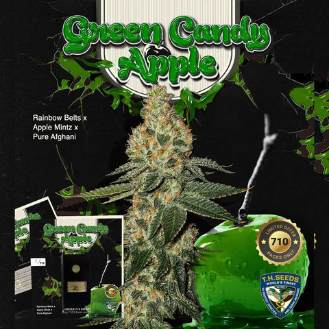 T.H. Seeds - Green Candy Apple