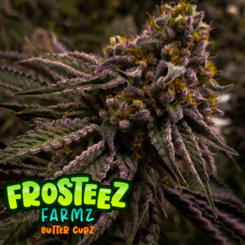 Frosteez Farmz - Butter Cupz