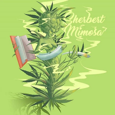 SALE!! Penthouse Cannabis Co - Sherbert Mimosa