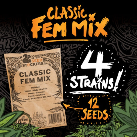 Seedstockers - Classic Feminised Seed Mix