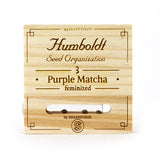 Humboldt Seeds x Sherbinskis - Purple Matcha