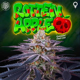 Perfect Tree - Rotten Apple + 3 Free Bonus Seeds