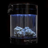 Smokus Focus - Eclipse Magnifying LED Storage Jar / Stash Container