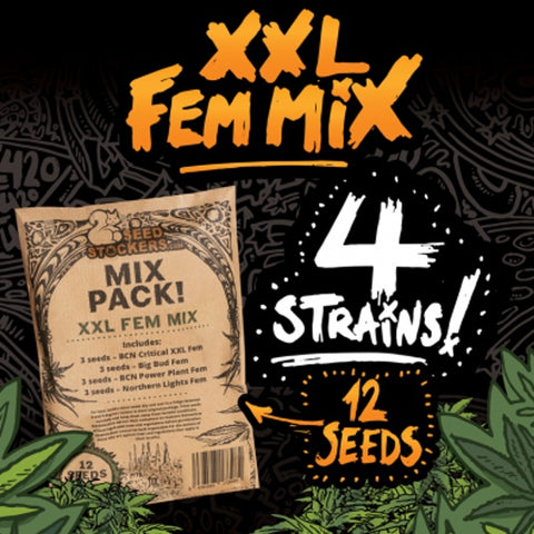 Seedstockers - XXL Feminised Seed Mix - 12pk