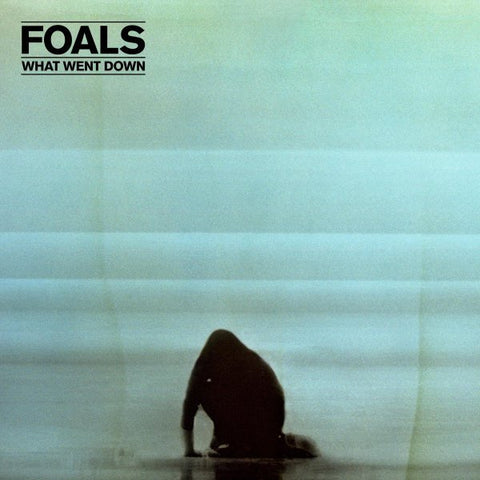 Foals - What Went Down LP - The JuicyJoint