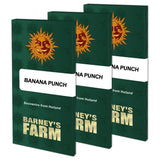PRICE DROP!! Barneys Farm Seeds - Banana Punch™