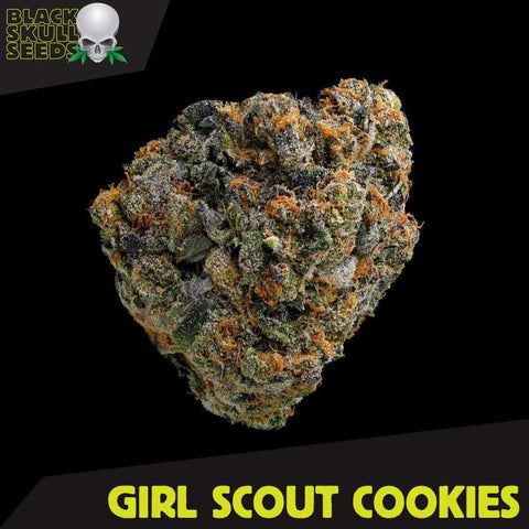 Black Skull Seeds - Girl Scout Cookies