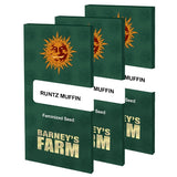PRICE DROP!! Barneys Farm Seeds - Runtz Muffin™