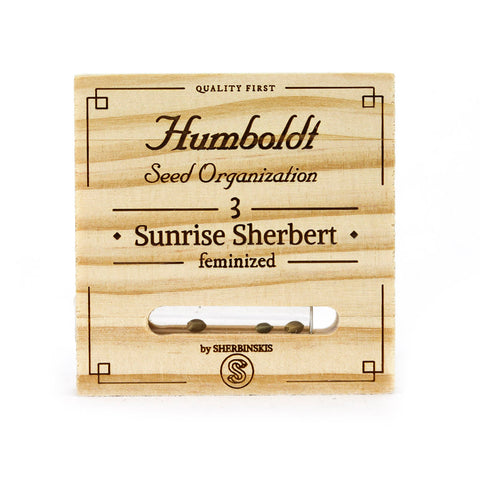 Humboldt Seeds x Sherbinskis - Sunrise Sherbert