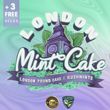 T.H. Seeds - London Mint Cake - Special Pack